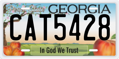 GA license plate CAT5428