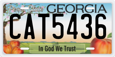 GA license plate CAT5436
