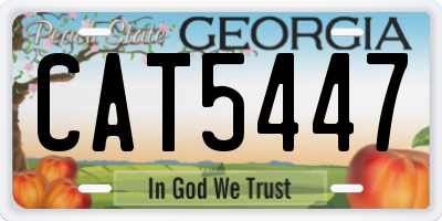 GA license plate CAT5447