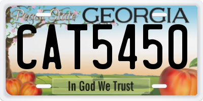 GA license plate CAT5450