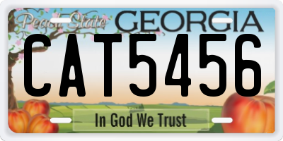 GA license plate CAT5456
