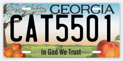 GA license plate CAT5501
