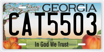 GA license plate CAT5503