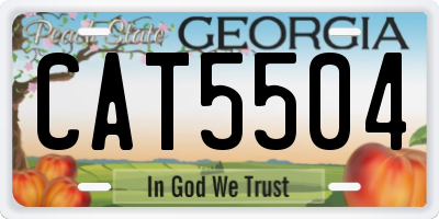GA license plate CAT5504