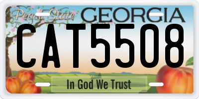GA license plate CAT5508