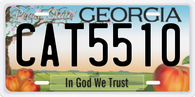 GA license plate CAT5510