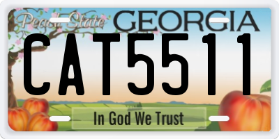 GA license plate CAT5511