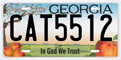 GA license plate CAT5512