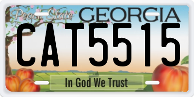 GA license plate CAT5515