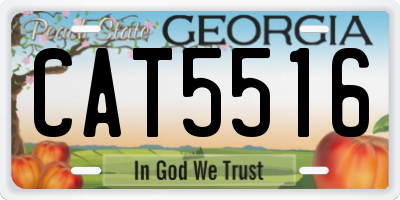 GA license plate CAT5516