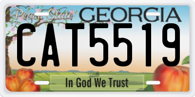 GA license plate CAT5519