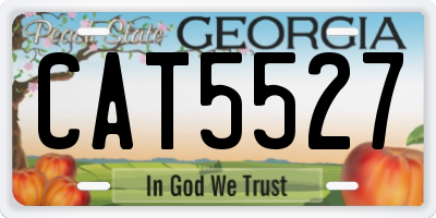 GA license plate CAT5527