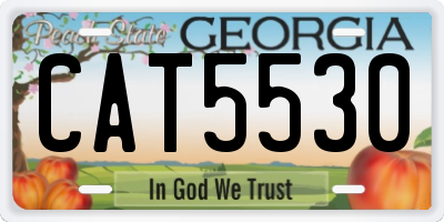 GA license plate CAT5530