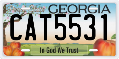 GA license plate CAT5531
