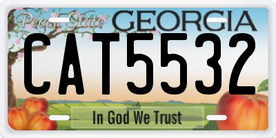 GA license plate CAT5532