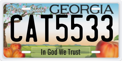 GA license plate CAT5533