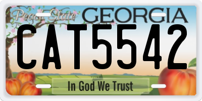 GA license plate CAT5542