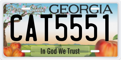 GA license plate CAT5551