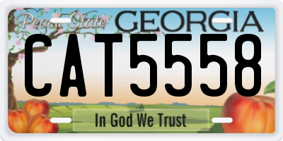 GA license plate CAT5558