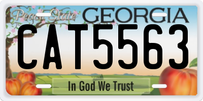 GA license plate CAT5563