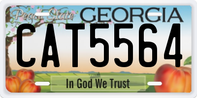 GA license plate CAT5564