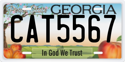 GA license plate CAT5567