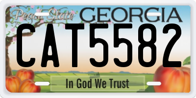 GA license plate CAT5582