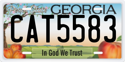 GA license plate CAT5583