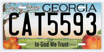 GA license plate CAT5593