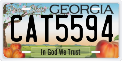 GA license plate CAT5594