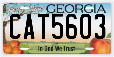 GA license plate CAT5603