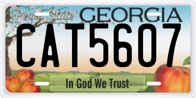 GA license plate CAT5607