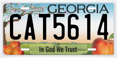 GA license plate CAT5614