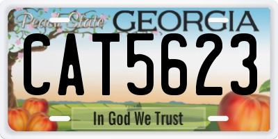GA license plate CAT5623