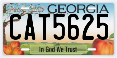GA license plate CAT5625