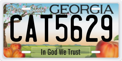 GA license plate CAT5629