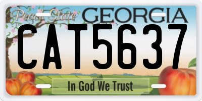 GA license plate CAT5637