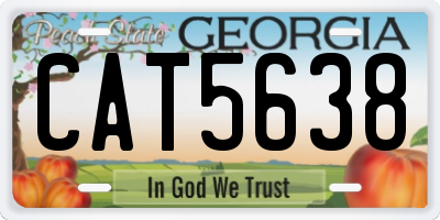 GA license plate CAT5638