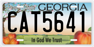 GA license plate CAT5641