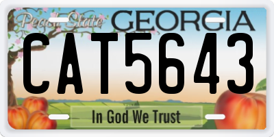 GA license plate CAT5643