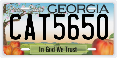GA license plate CAT5650