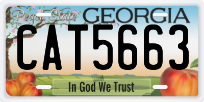 GA license plate CAT5663