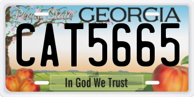 GA license plate CAT5665