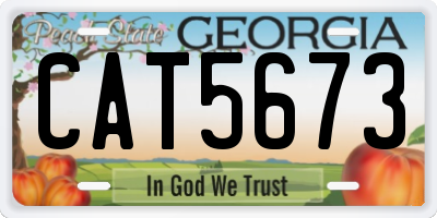 GA license plate CAT5673