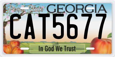 GA license plate CAT5677