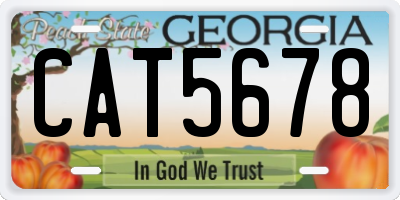 GA license plate CAT5678