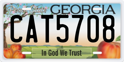 GA license plate CAT5708