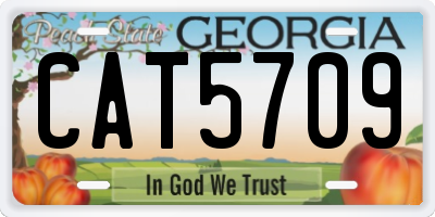 GA license plate CAT5709