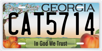 GA license plate CAT5714