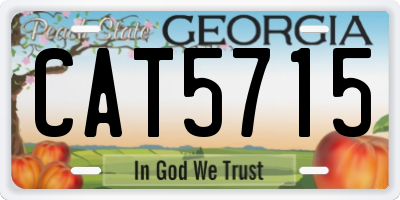 GA license plate CAT5715